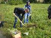 Всекузбасская акция «Посади дерево»